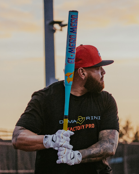 DeMarini Slowpitch Softball Bat