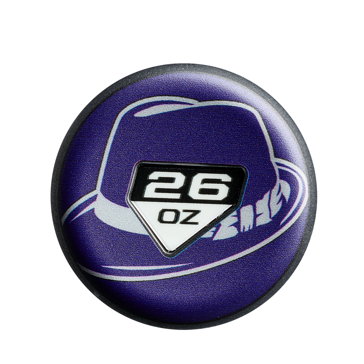 WBD2694010_5_DM_Flyswatter_2027_Purple_Silver.png