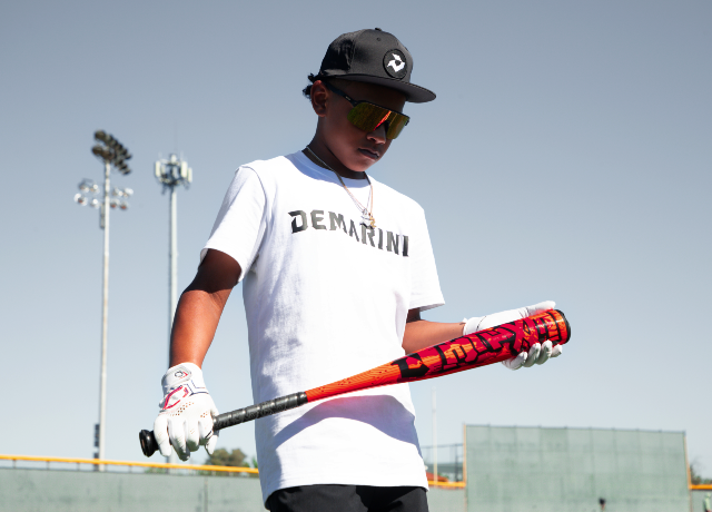 DeMarini USA Exile Baseball Bat