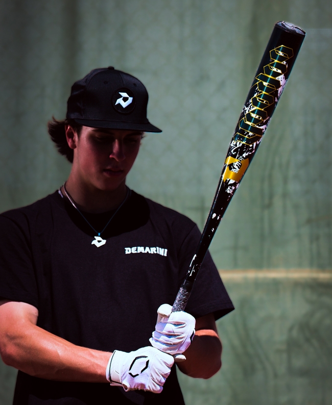 2027 DeMarini Voodoo One (-3) BBCOR Baseball Bat | DeMarini